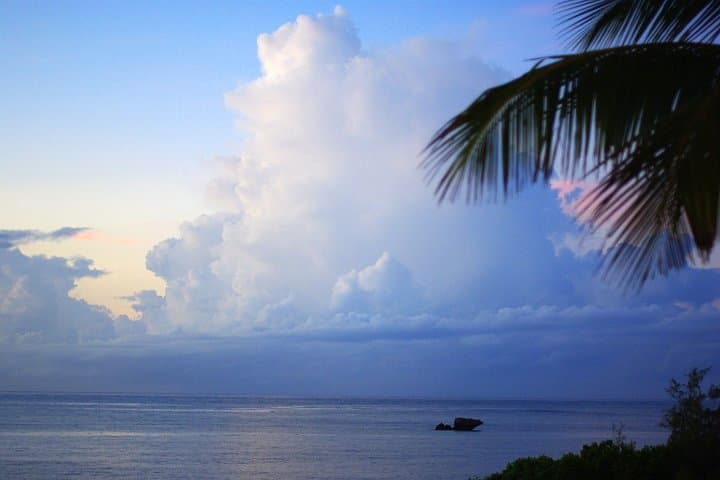 Budget Malindi Adventure: 5-Day Coastal Relaxation + Tsavo Game Drive photo 4