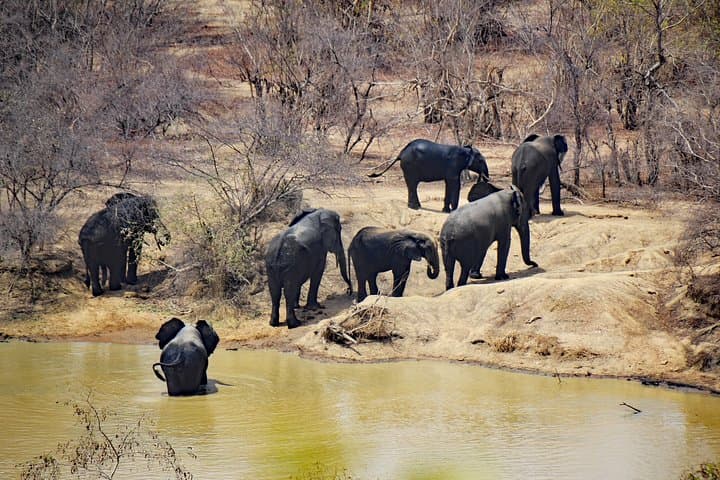 8-Day Ghana Cultural & Wildlife Safari — Accra, Kumasi, Cape Coast & Kakum photo 3