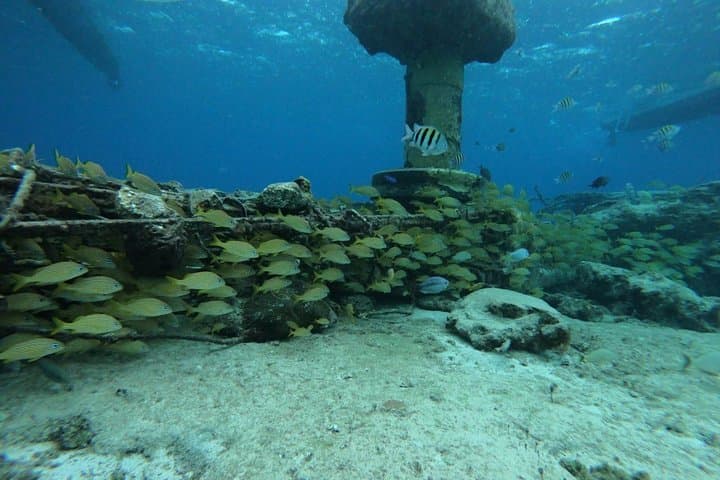 Cozumel Snorkel Adventure: Three Reefs & Playa el Cielo Full-Day Tour photo 1