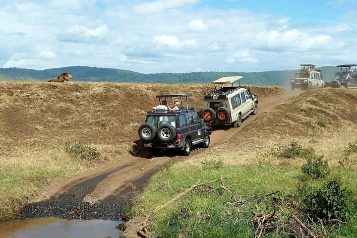 Comfort Safari: 3-Day Ngorongoro, Tarangire & Lake Manyara Adventure photo 2