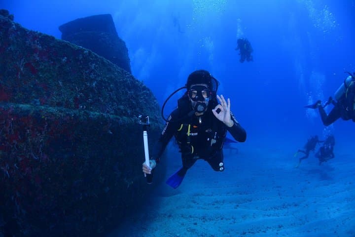 Cape Town Divers Experience: Cage & Scuba with Seals, Sevengills and Great Whites
