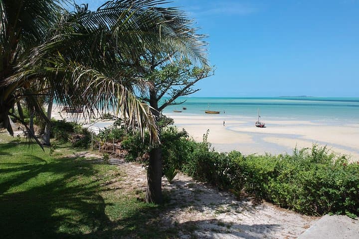 Coastlines and Cleaning Stations: 5-Day Mozambique Beach & Marine Safari from Maputo photo 2