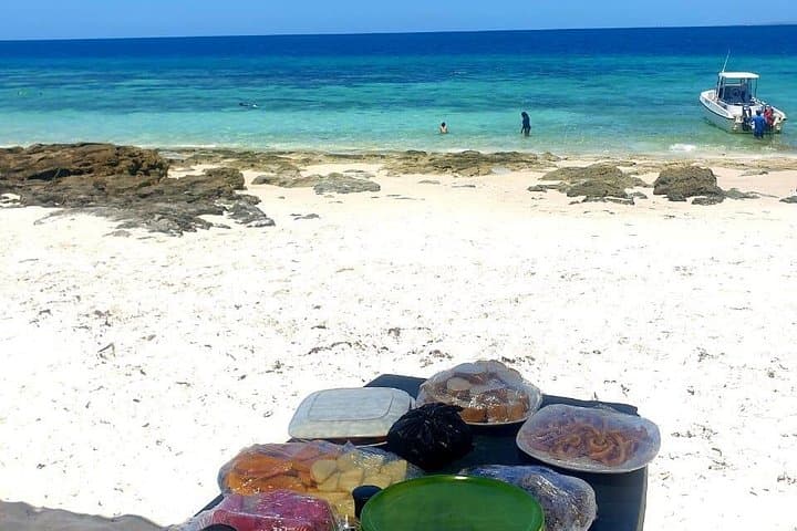 Coastlines and Cleaning Stations: 5-Day Mozambique Beach & Marine Safari from Maputo photo 3