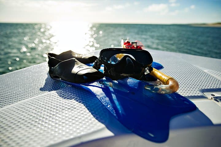Coastlines and Cleaning Stations: 5-Day Mozambique Beach & Marine Safari from Maputo photo 4