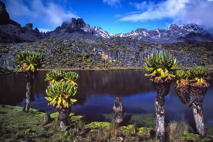 Three-Day Mt Meru Trek: Summit Sunrise & Kilimanjaro Acclimatization photo 2