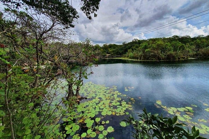 Private Tulum Ruins and 3 Cenotes Jungle Adventure — Swim, Zipline, and Snorkel photo 4