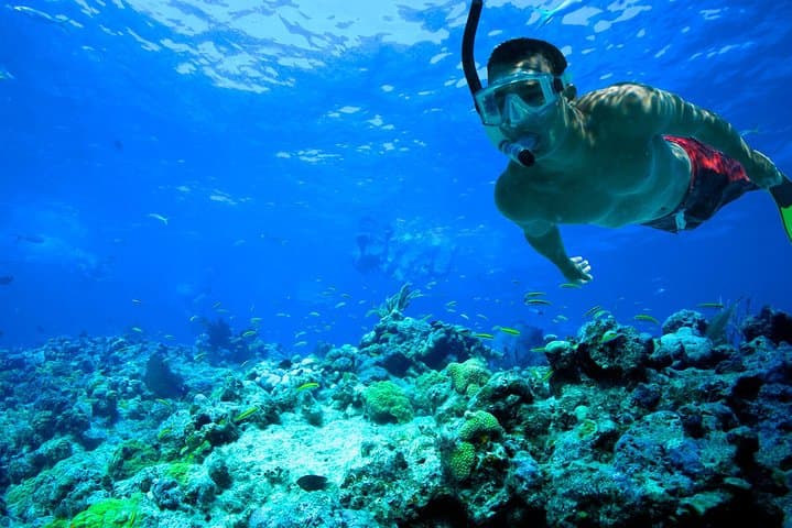 Snorkel the Mesoamerican Reef: Cancun Basic Snorkel Experience with Transport photo 6
