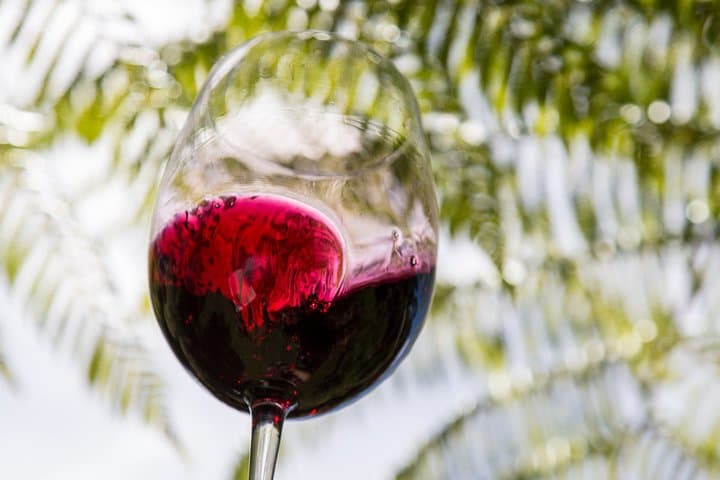 Waiheke Private Wine Tour: Taste Top Vineyards, Lunch & Island Views photo 3