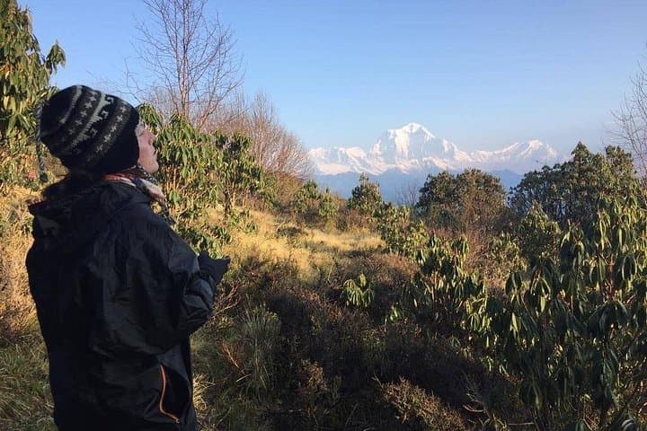 4-Day Poon Hill Trek: Sunrise Views & Annapurna Foothills Adventure photo 1