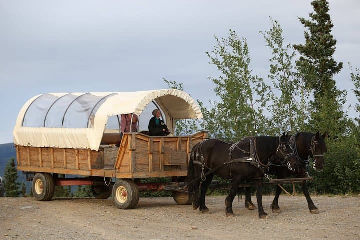 Denali Edge Horse-Drawn Covered Wagon Ride with Backcountry Dining photo 4