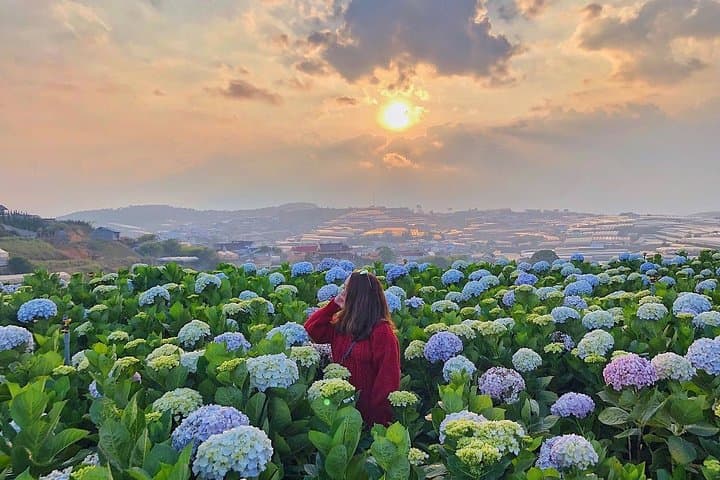 3-Day Da Lat Highlands Tour — Waterfalls, Pagodas & Flower Gardens photo 3