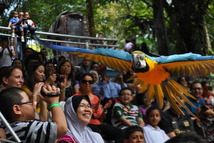 KL Lake Gardens Tour: Orchid, Bird & Butterfly Parks — Private Half-Day Experience photo 5