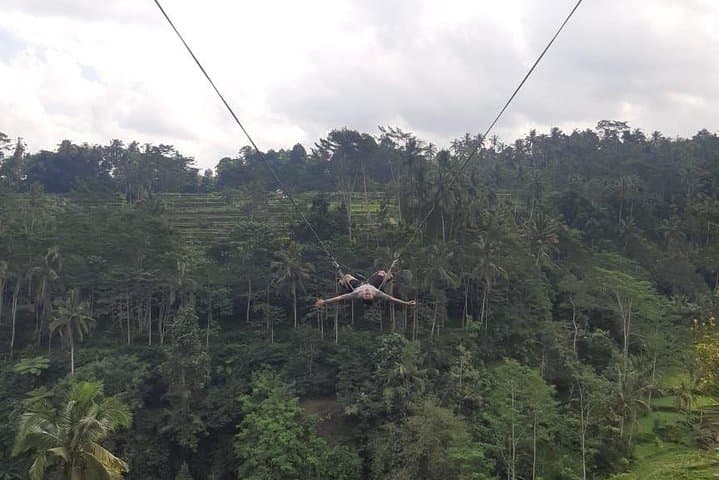 Ubud Swing, Tegalalang Rice Terrace & Water Temple Day Tour photo 6