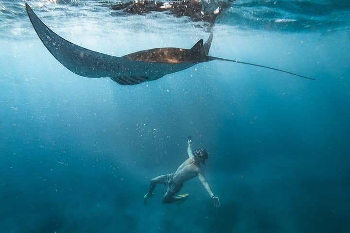 Nusa Penida Snorkeling with Manta: Four-Point Marine Adventure from Sanur
