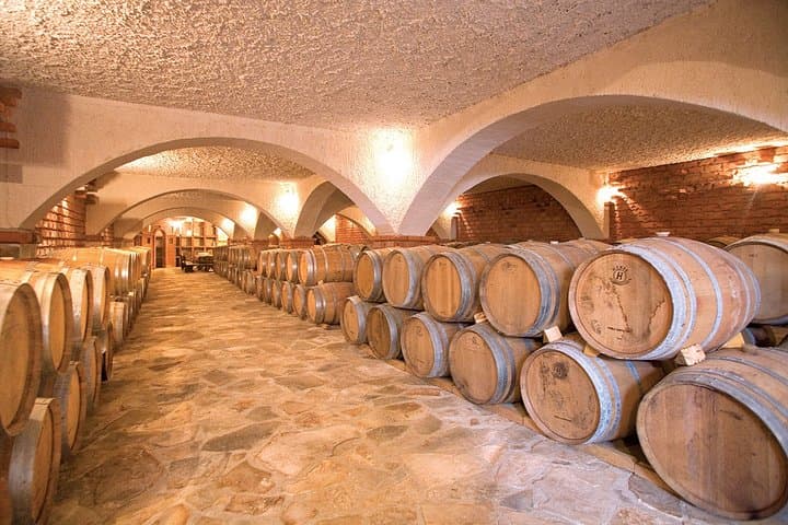Pelješac Peninsula Wine Tour — Ston Oysters & Dingač Tastings photo 5