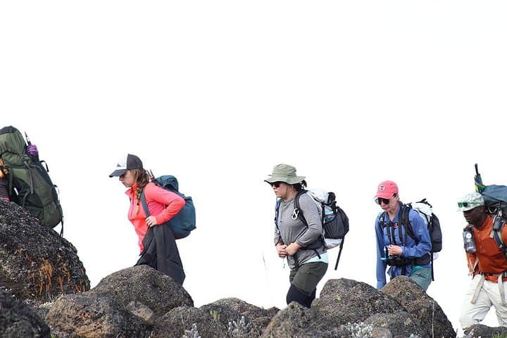 Kilimanjaro Lemosho Route: 8-Day Summit Push to Uhuru Peak photo 2