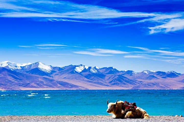 6-Day Lhasa & Namtso Holy Lake Tour — Potala Palace, Jokhang & High Plateau Culture
