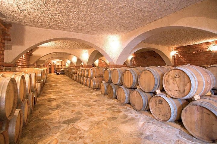 Peljesac Peninsula Private Wine Tour: Ston, Plavac Mali & Oyster Tasting photo 4