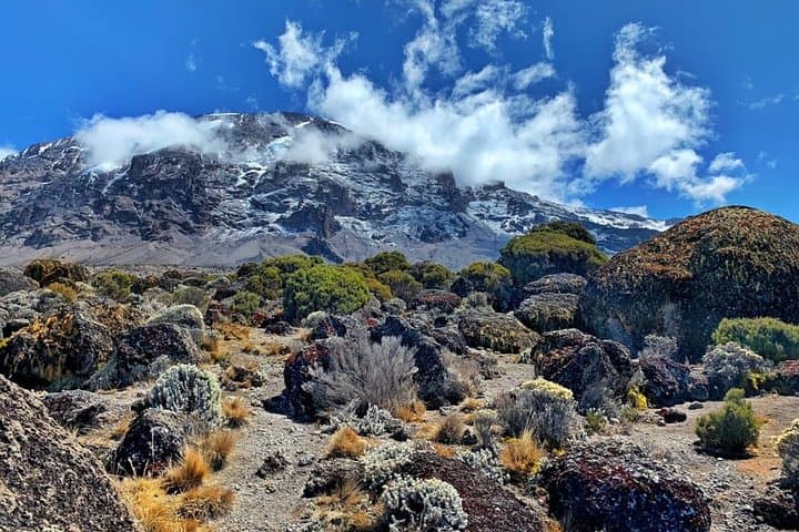 6-Day Kilimanjaro Ascent via Machame Route: A Practical Guide to Reaching Uhuru Peak photo 2