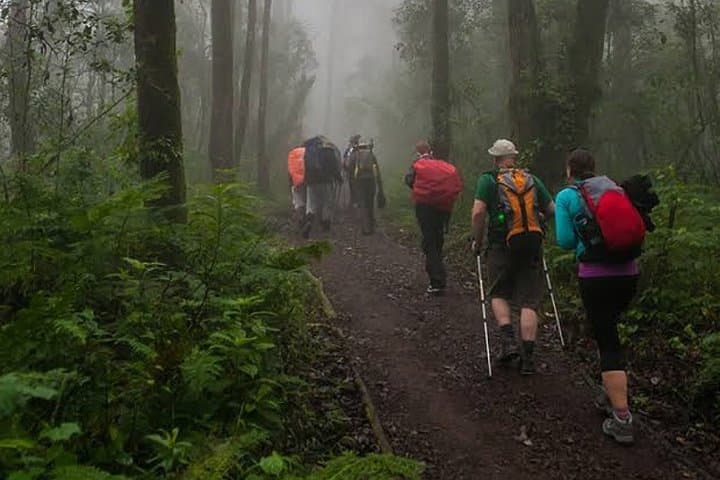 Conquer Kilimanjaro on the 5-Day Marangu Route: Hut-to-Hut Summit Guide