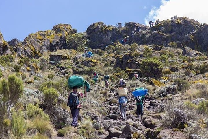Conquer Kilimanjaro on the 5-Day Marangu Route: Hut-to-Hut Summit Guide photo 3