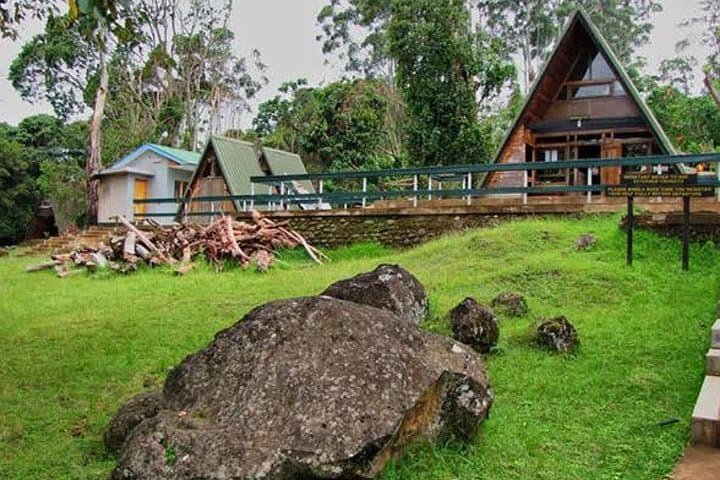 Conquer Kilimanjaro on the 5-Day Marangu Route: Hut-to-Hut Summit Guide photo 5