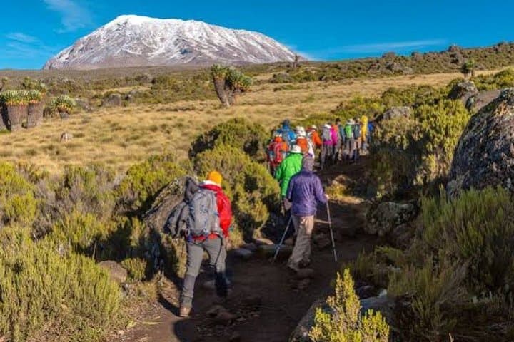 Mount Kilimanjaro Marangu Route: 6-Day Trek to Uhuru Peak photo 2