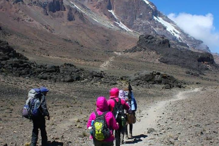 Mount Kilimanjaro Marangu Route: 6-Day Trek to Uhuru Peak photo 3