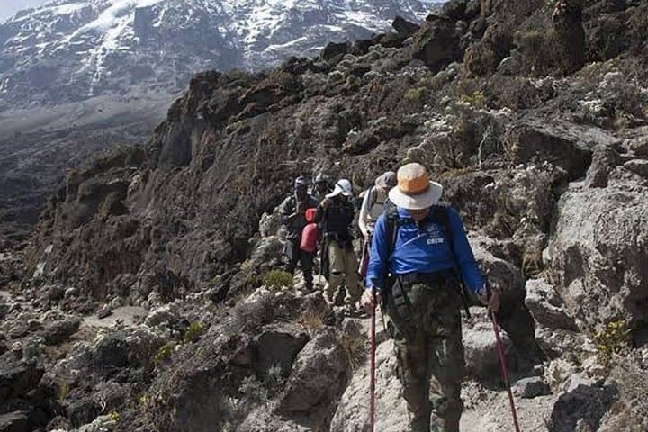 Mount Kilimanjaro Marangu Route: 6-Day Trek to Uhuru Peak photo 4