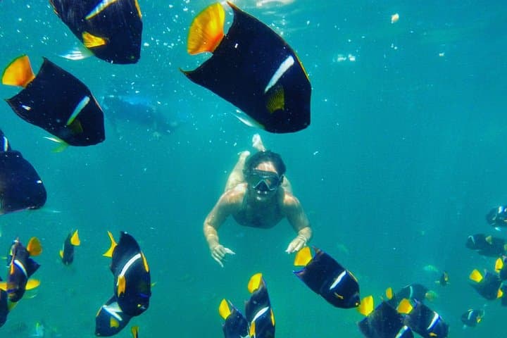 Paddle Los Arcos: Private SUP & Snorkel Adventure from Puerto Vallarta photo 3