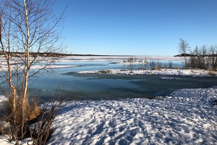 Yellowknife City Tour and Nature's North Wildlife Gallery: Explore Old Town, Legislative Assembly & Northern Wildlife photo 3