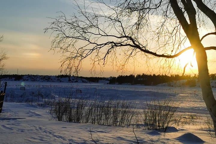 Yellowknife City Tour and Nature's North Wildlife Gallery: Explore Old Town, Legislative Assembly & Northern Wildlife photo 4