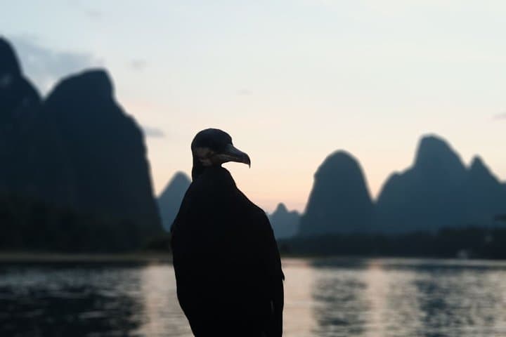 2-Day Guilin Photography Tour — Sunrise & Sunset on the Li River photo 3