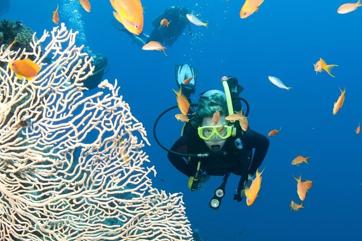 3-Day Nha Trang Scuba Diving: Mun Island Marine Park & Coastal Snorkel photo 3