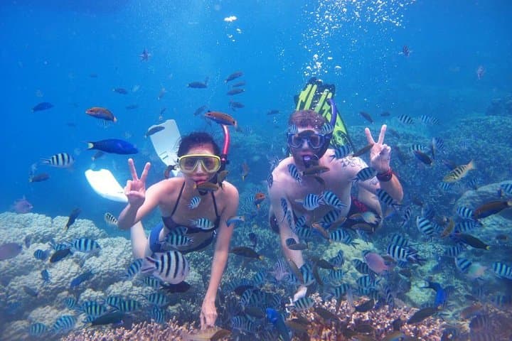 3-Day Nha Trang Scuba Diving: Mun Island Marine Park & Coastal Snorkel photo 4