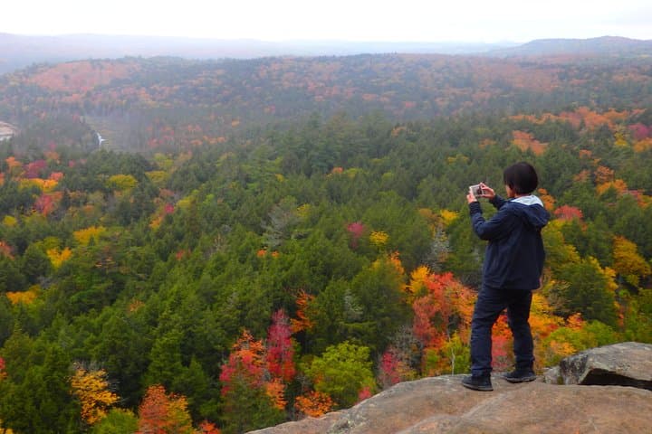 All-Inclusive 3-Day Algonquin Guided Camping Tour | Canoe, Hike & Stargaze photo 6