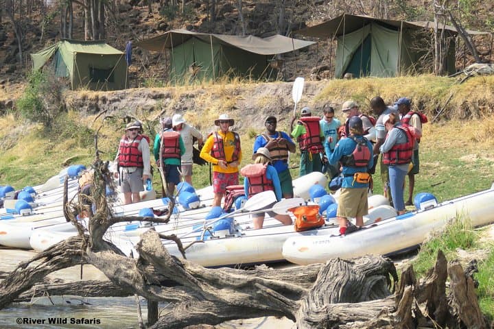 Upper Zambezi Canoe Day Trip from Victoria Falls — 18km Wildlife Paddle photo 2
