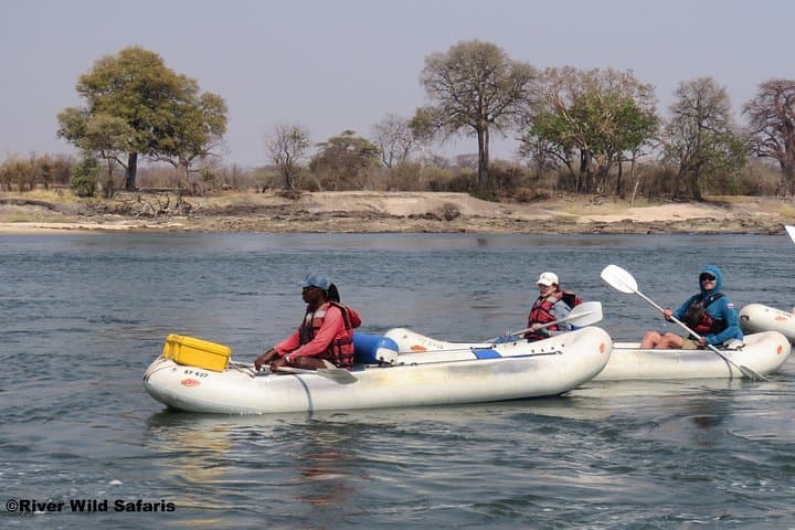 Upper Zambezi Canoe Day Trip from Victoria Falls — 18km Wildlife Paddle photo 4