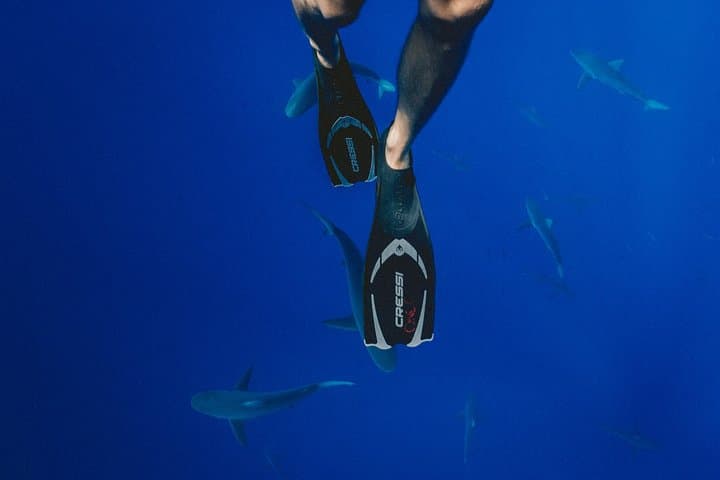 Beginner Scuba in Maafushi: 12m Guided Dives with Photos photo 6