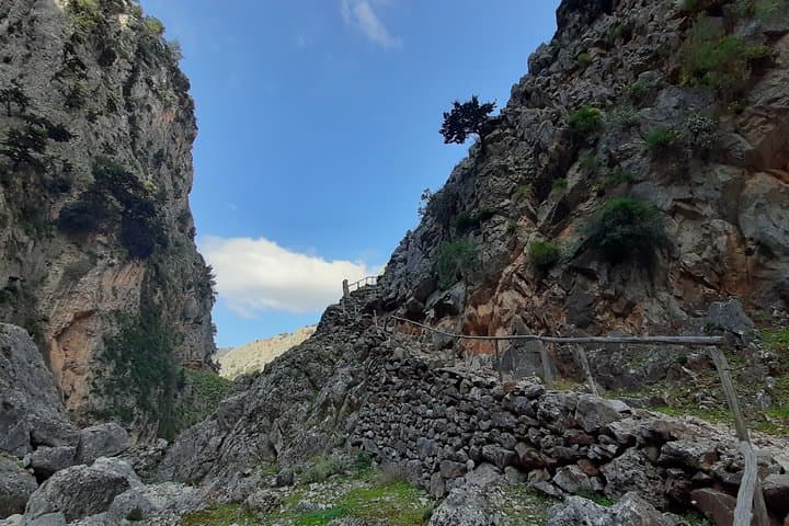 Aradena Gorge Hike to Marmara Beach — Coastal Gorge Loop in Crete photo 6
