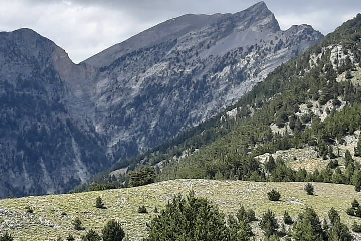 Agia Roumeli to Papoura Peak: Challenging Hike in Crete's White Mountains