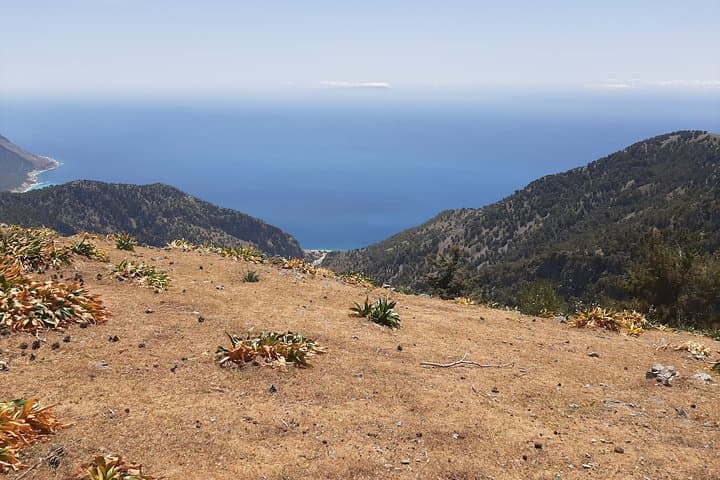 Agia Roumeli to Papoura Peak: Challenging Hike in Crete's White Mountains photo 5