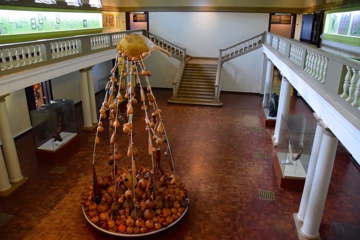 Discover Kenya’s Story: Nairobi National Museum & Snake Park Half-Day Guided Tour photo 3