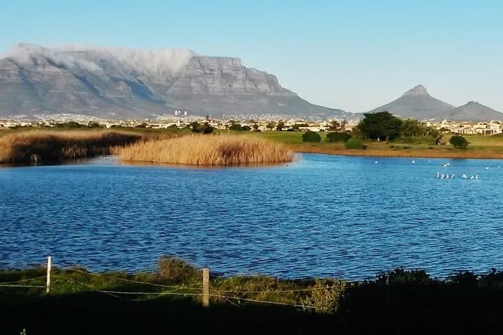 Cape Town Airport Transfer: Private C.A.T.S. Transfer Service (COVID-19 Compliant) photo 3
