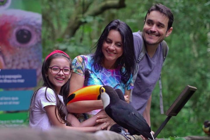 Iguazu Falls & Bird Park: 3-Day Foz do Iguaçu Classic Package Guide photo 3