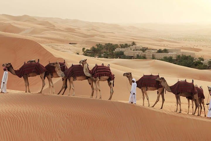 Liwa Desert Escape: Qasr Al Sarab Luxury Oasis & Dune Adventures photo 6