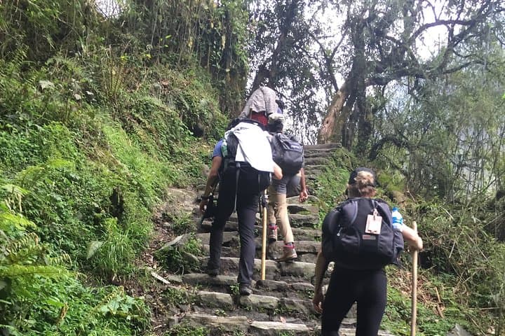 7-Day Annapurna Base Camp Trek from Pokhara — Teahouse Route, Altitude Tips & Itinerary photo 2