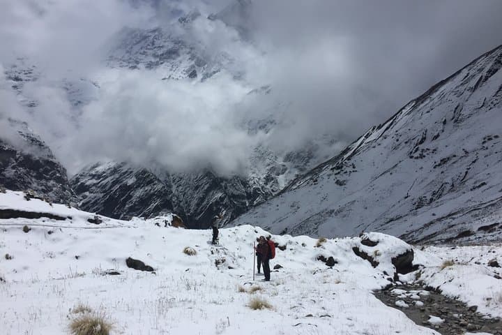 7-Day Annapurna Base Camp Trek from Pokhara — Teahouse Route, Altitude Tips & Itinerary photo 4