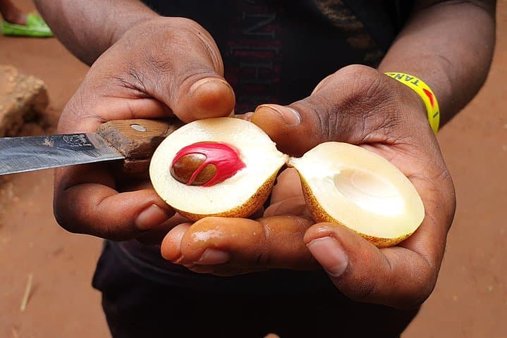 Luxury Zanzibar Spice Tour with Lunch — Kizimbani Farm Experience photo 5