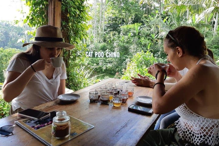 Balinese Healing and Tirta Empul: Temple Purification, Coffee, and Tegenungan Waterfall photo 5